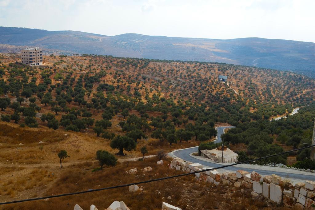 Taybeh Golden Hotel 라말라 외부 사진